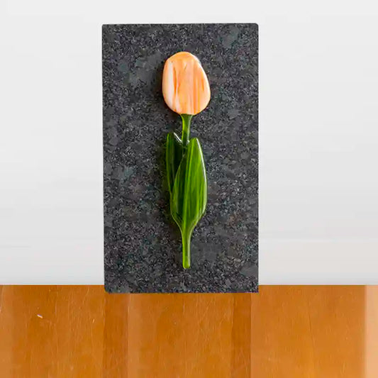 Tulp