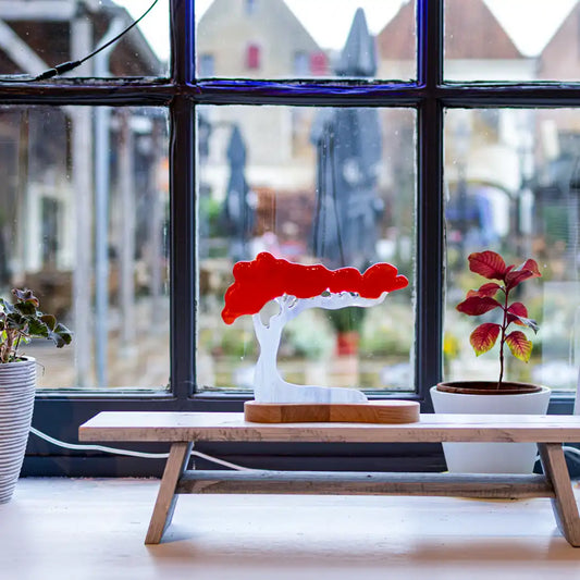 Bonsai tree on wooden stand