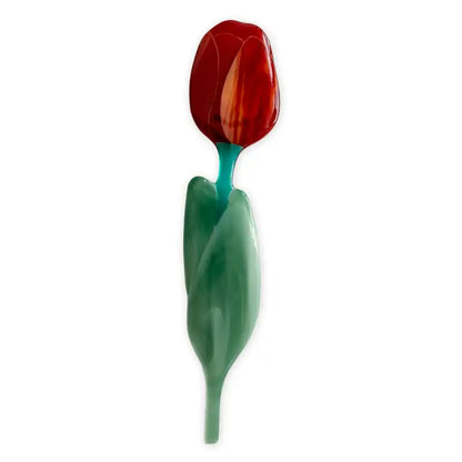 Tulp