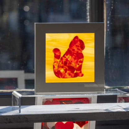 Grote dikke rode kat